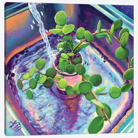 A Plant Bath Canvas Print #VRB82} by Very Berry Canvas Art Print