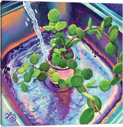 A Plant Bath Canvas Art Print - Gardening Art