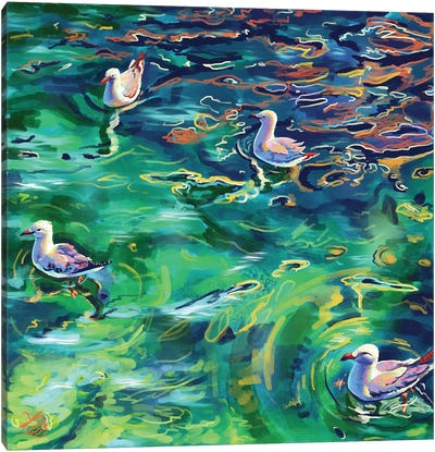A Sea Of Seagulls Canvas Art Print - Very Berry