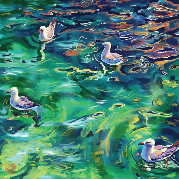A Sea Of Seagulls