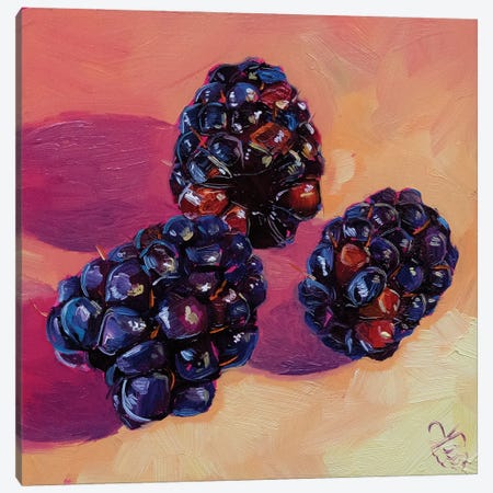 Blackberries Canvas Print #VRB85} by Very Berry Canvas Wall Art
