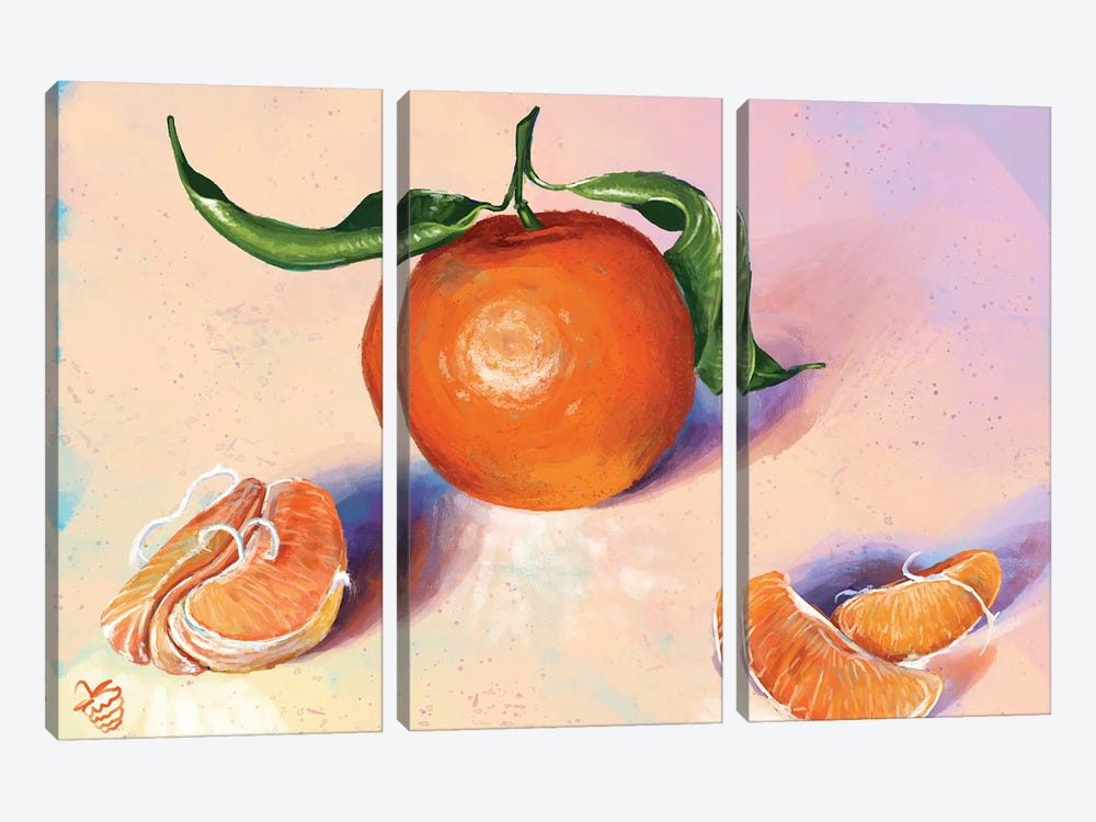 A Tangerine Study by Very Berry 3-piece Canvas Wall Art
