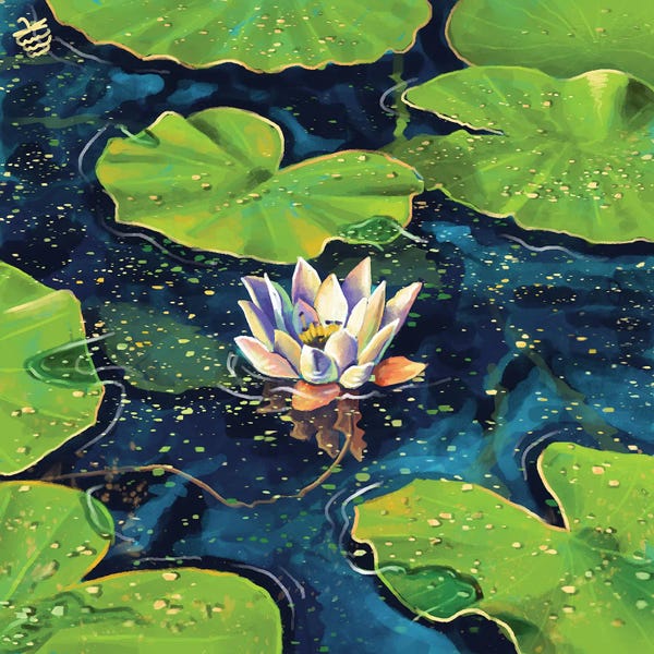 Very Berry: Water Lily In A Pond by Very Berry