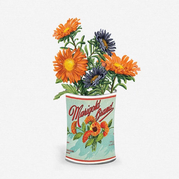 Marigold Brand
