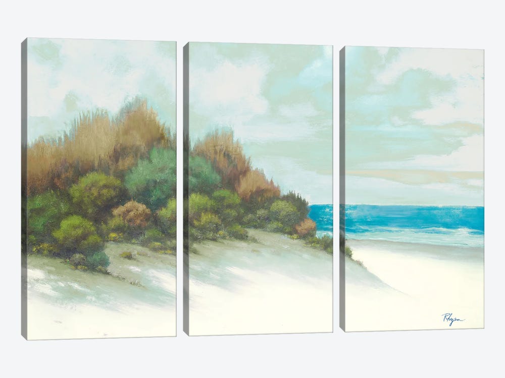 Seashore I by Vivien Rhyan 3-piece Canvas Art
