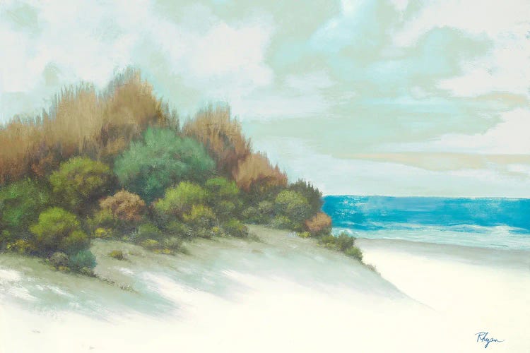 Seashore I by Vivien Rhyan canvas print