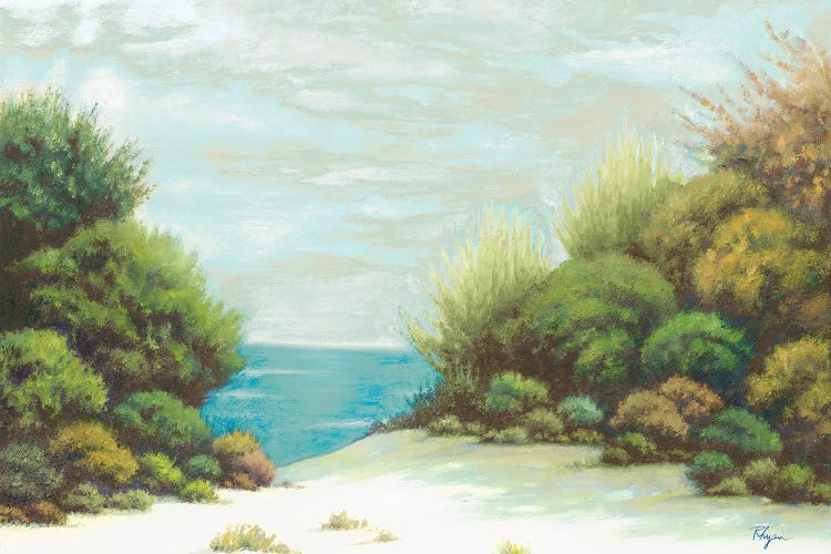 Seashore II by Vivien Rhyan canvas print