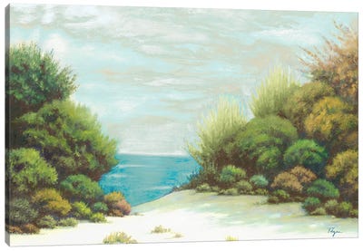 Seashore II Canvas Art Print
