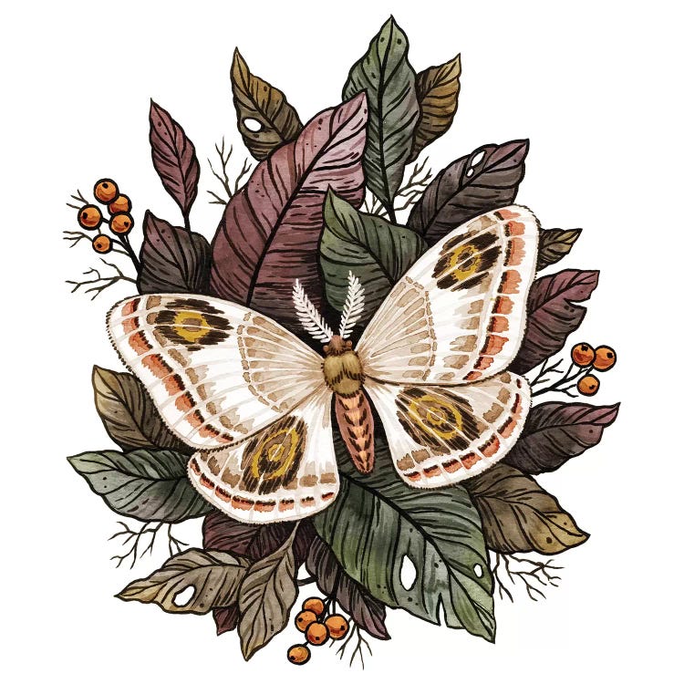 Autumn Moth by Vasilisa Romanenko wall art