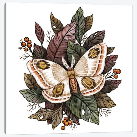 Autumn Moth Canvas Print #VRK10} by Vasilisa Romanenko Canvas Print