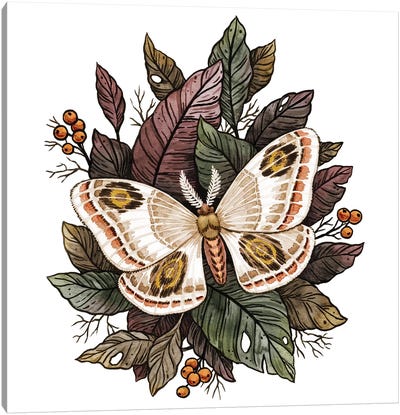 Autumn Moth Canvas Art Print - Vasilisa Romanenko