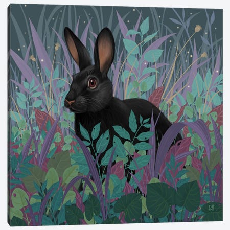 Black Rabbit Canvas Print #VRK13} by Vasilisa Romanenko Canvas Art Print