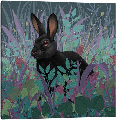 Black Rabbit Canvas Art Print - Vasilisa Romanenko
