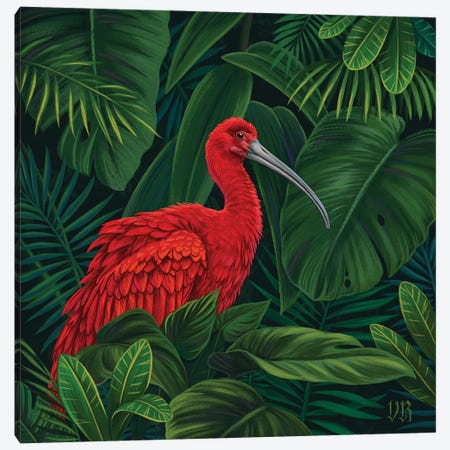 Scarlet Ibis Canvas Print #VRK34} by Vasilisa Romanenko Canvas Wall Art