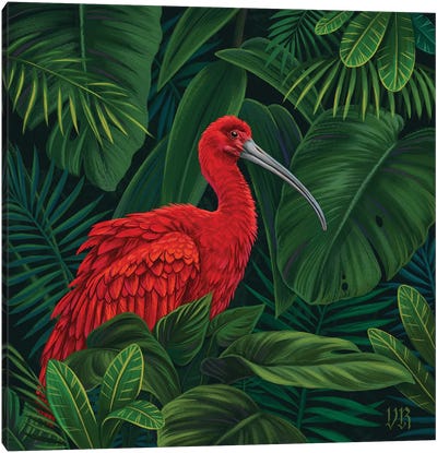 Scarlet Ibis Canvas Art Print - Vasilisa Romanenko