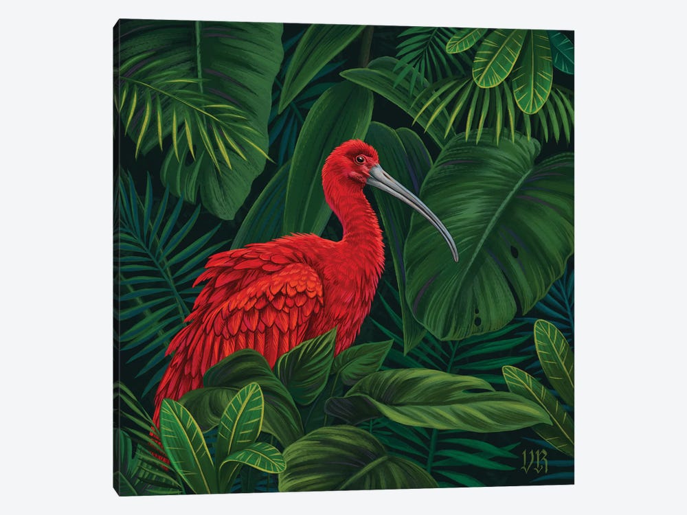 Scarlet Ibis by Vasilisa Romanenko 1-piece Canvas Print