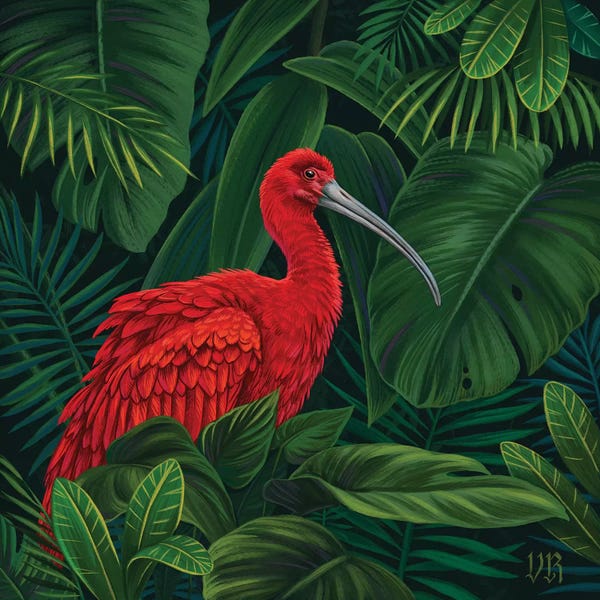 Tropical Leaves: Scarlet Ibis by Vasilisa Romanenko