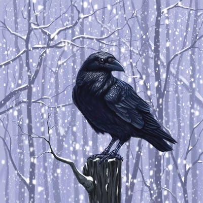 Winter Raven by Vasilisa Romanenko acrylic art print