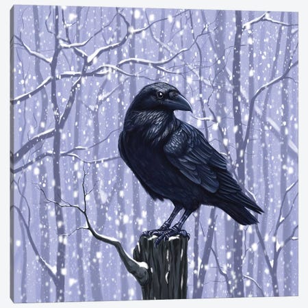 Winter Raven Canvas Print #VRK45} by Vasilisa Romanenko Canvas Print