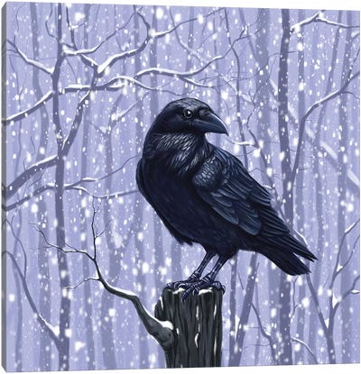 Winter Raven Canvas Art Print - Raven Art