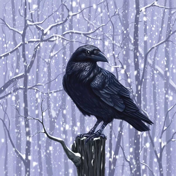 Vasilisa Romanenko: Winter Raven by Vasilisa Romanenko