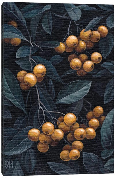 Firethorn Berries Canvas Art Print - Vasilisa Romanenko