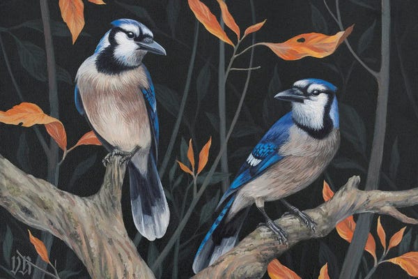 Love Birds: Blue Jays by Vasilisa Romanenko