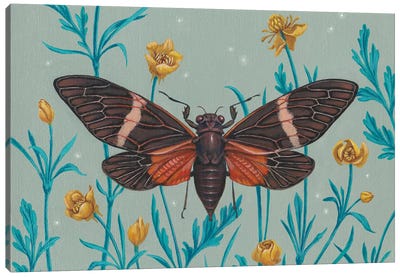 Among The Buttercups Canvas Art Print - Vasilisa Romanenko