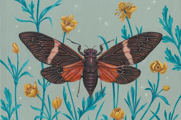 Vasilisa Romanenko: Among The Buttercups by Vasilisa Romanenko