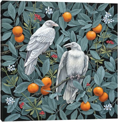 Secret Grove Canvas Art Print - Orange Art