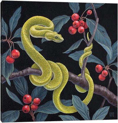 Uncertain Danger Canvas Art Print - Snake Art