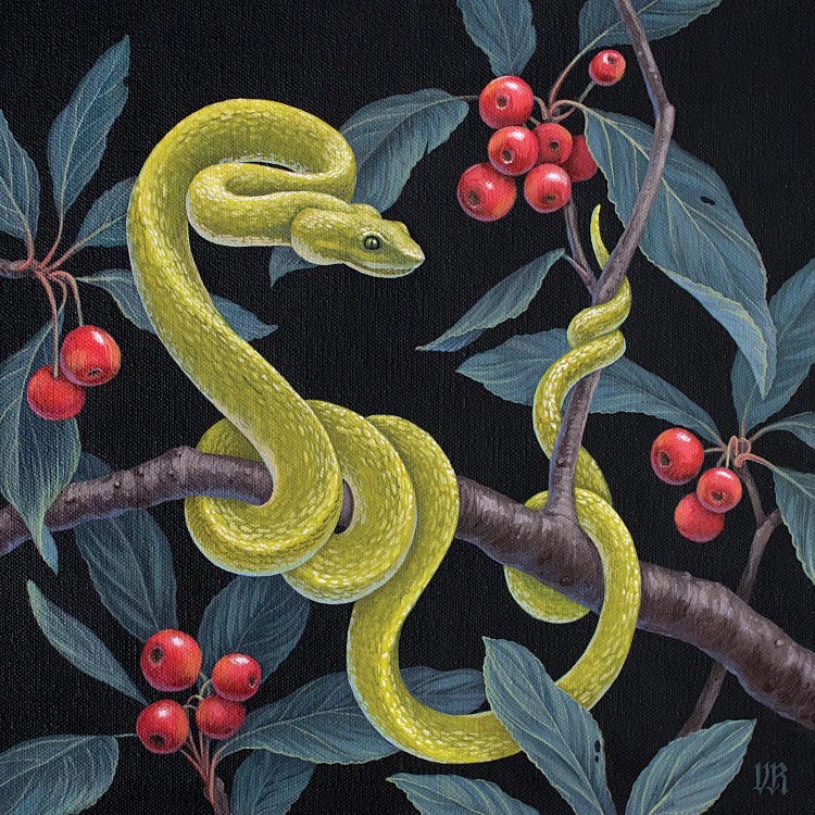 Uncertain Danger by Vasilisa Romanenko wall art