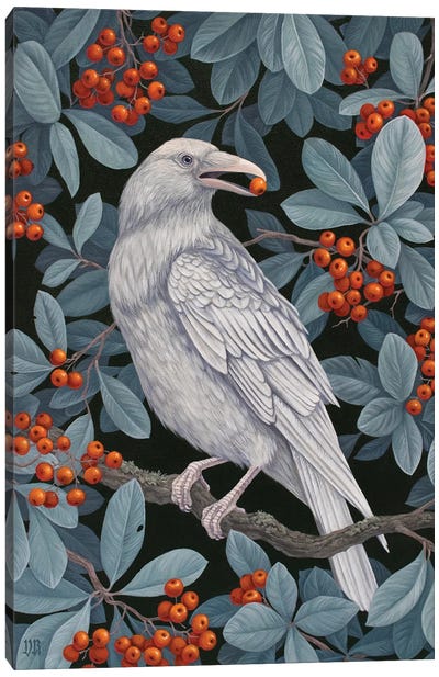 Berry Picking Canvas Art Print - Crow Art