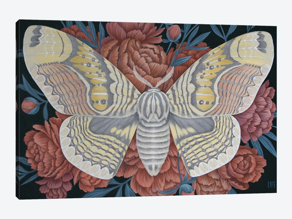 Brahmin Moth by Vasilisa Romanenko 1-piece Canvas Print