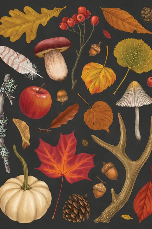 Autumn Walk by Vasilisa Romanenko wall art