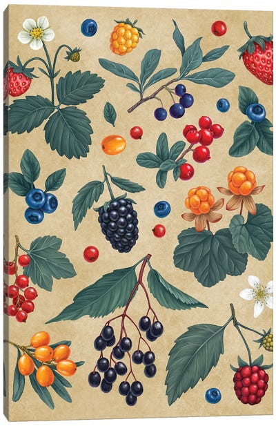 Forest Berris Canvas Art Print - Berries