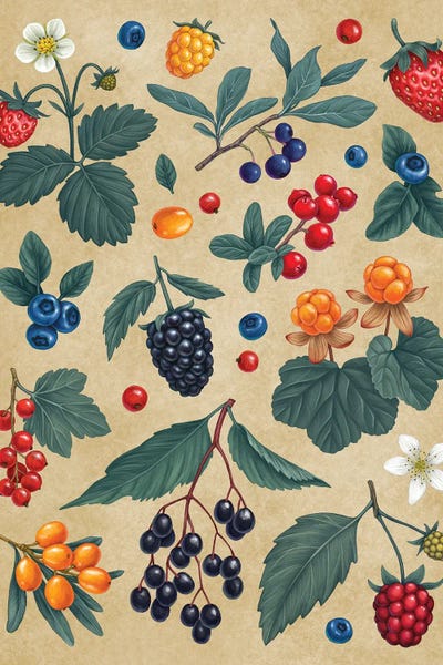 Vasilisa Romanenko: Forest Berris by Vasilisa Romanenko