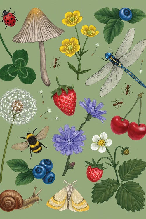 Summer Days by Vasilisa Romanenko wall art