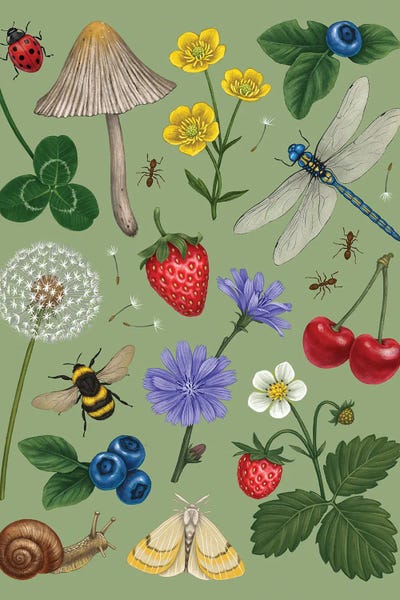 Ladybugs: Summer Days by Vasilisa Romanenko