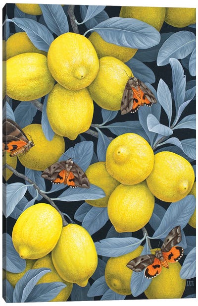 Ripe For The Picking Canvas Art Print - Funky Fine Art