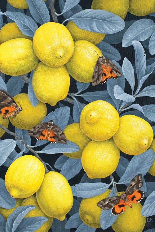 Ripe For The Picking by Vasilisa Romanenko wall art