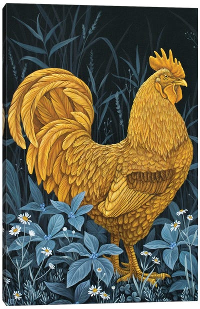 Golden Rooster Canvas Art Print - Vasilisa Romanenko