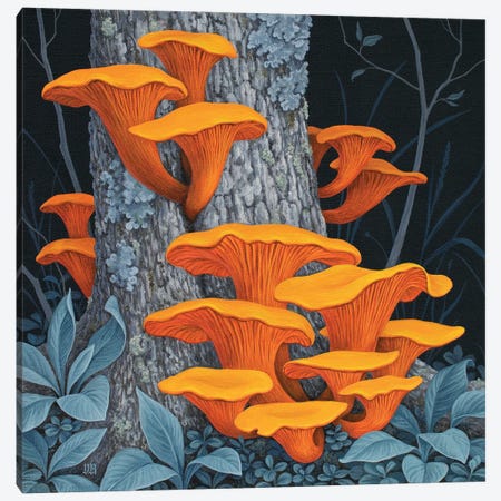 Fungi II Canvas Print #VRK64} by Vasilisa Romanenko Canvas Print