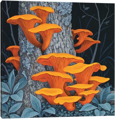 Fungi II Canvas Art Print - Vasilisa Romanenko