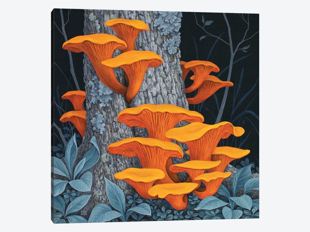 Fungi II by Vasilisa Romanenko 1-piece Canvas Wall Art