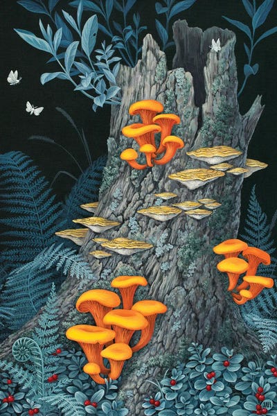 Vasilisa Romanenko: Renewal by Vasilisa Romanenko