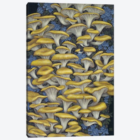Yellow Oyster Mushrooms Canvas Print #VRK67} by Vasilisa Romanenko Canvas Print