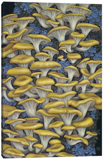 Yellow Oyster Mushrooms Canvas Art Print - Vasilisa Romanenko