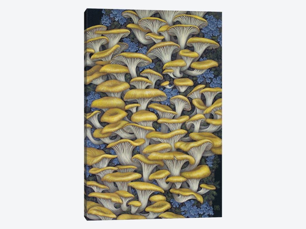 Yellow Oyster Mushrooms by Vasilisa Romanenko 1-piece Art Print