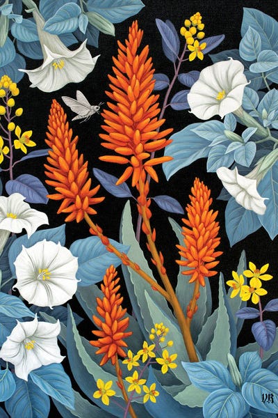 Aloe Grove by Vasilisa Romanenko canvas print